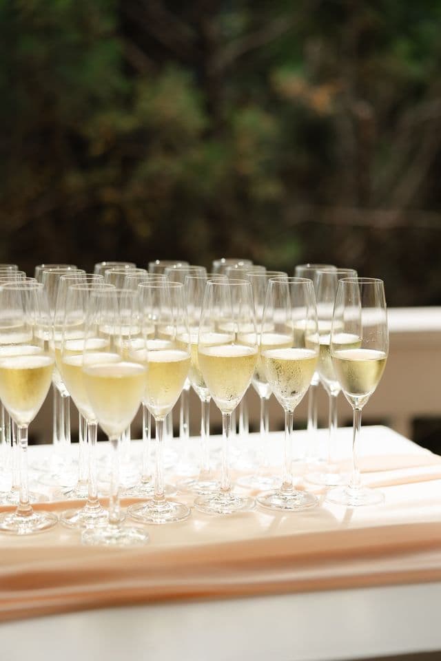 Champagne flutes lined up on a draped bar table